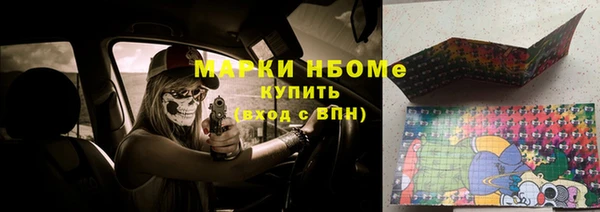 прущие грибы Алзамай