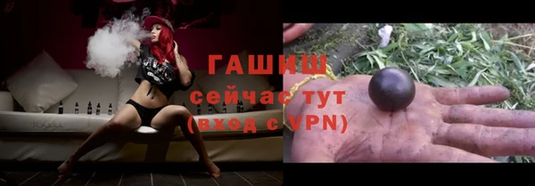 прущие грибы Алзамай