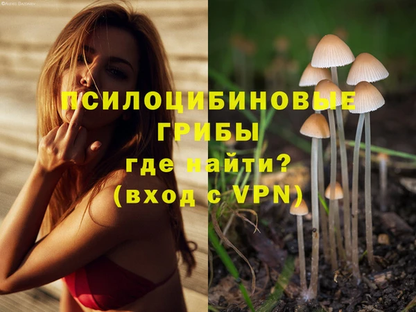 прущие грибы Алзамай